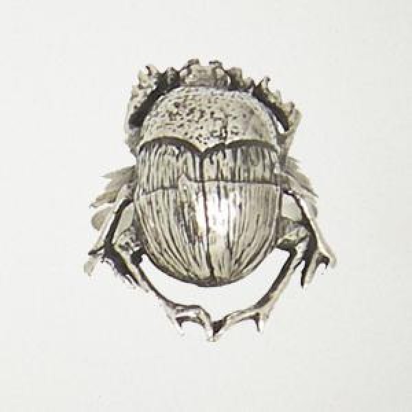 Scarab